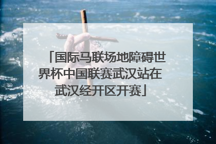 国际马联场地障碍世界杯中国联赛武汉站在武汉经开区开赛